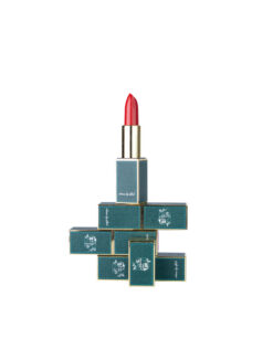 SAENGN BI-HYEON Shine Lip Stick